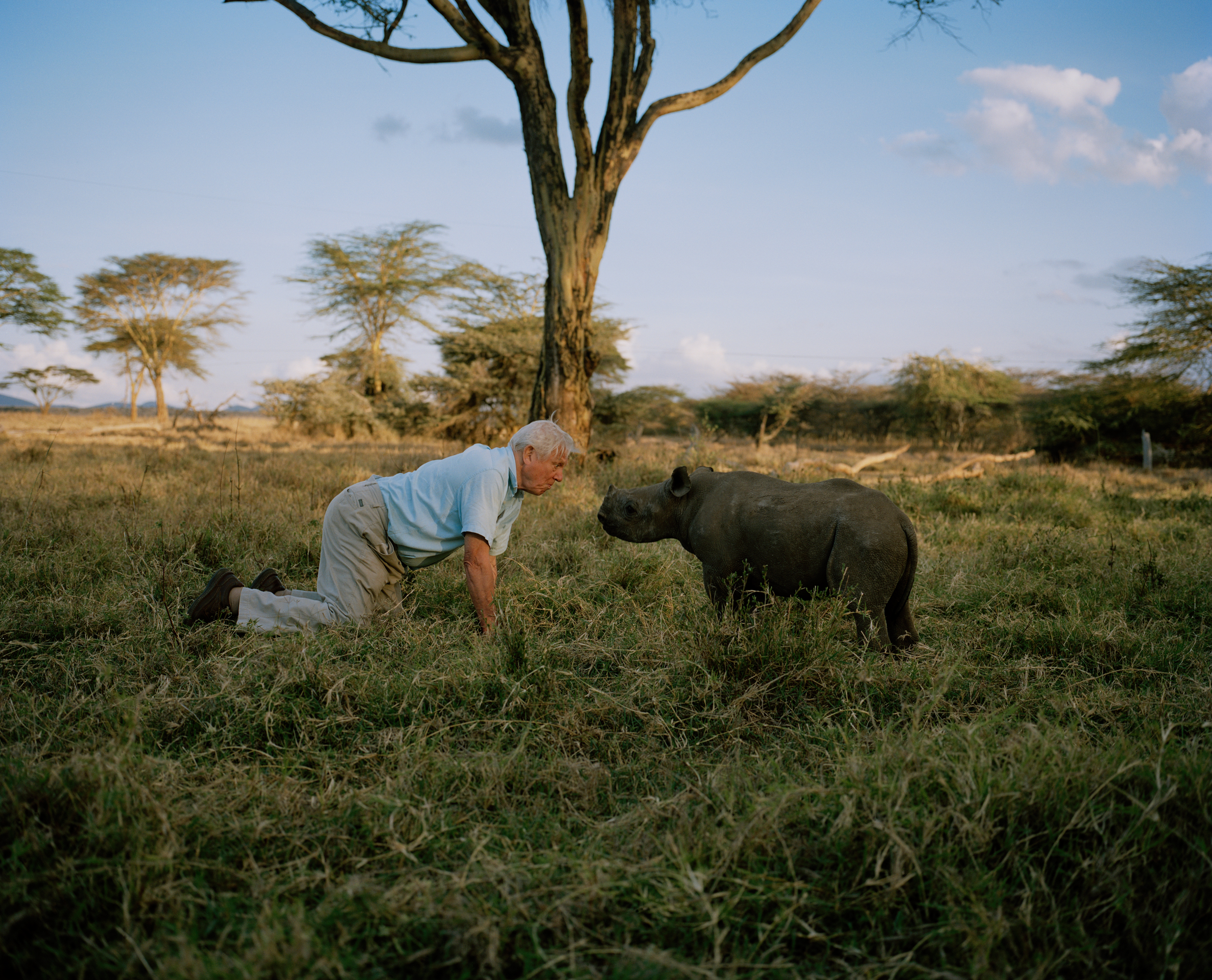 098.8 001 Attenborough 'Africa' - africa - David Chancellor